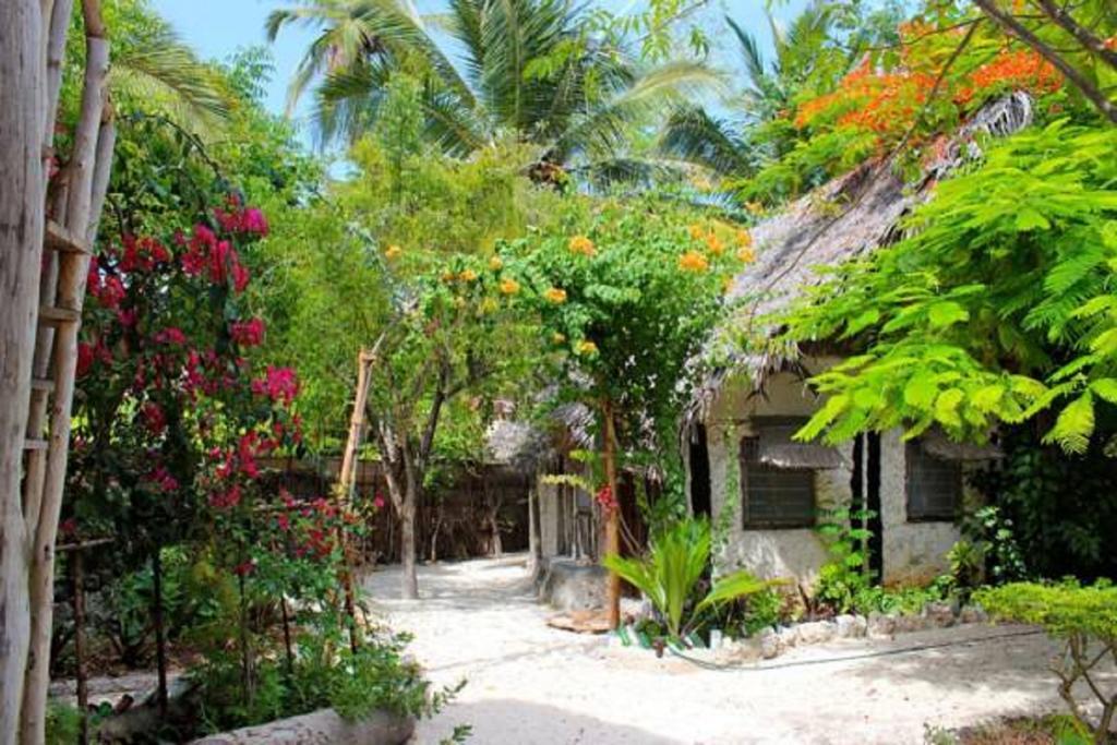 Mustapha' S Place Bwejuu Ngoại thất bức ảnh