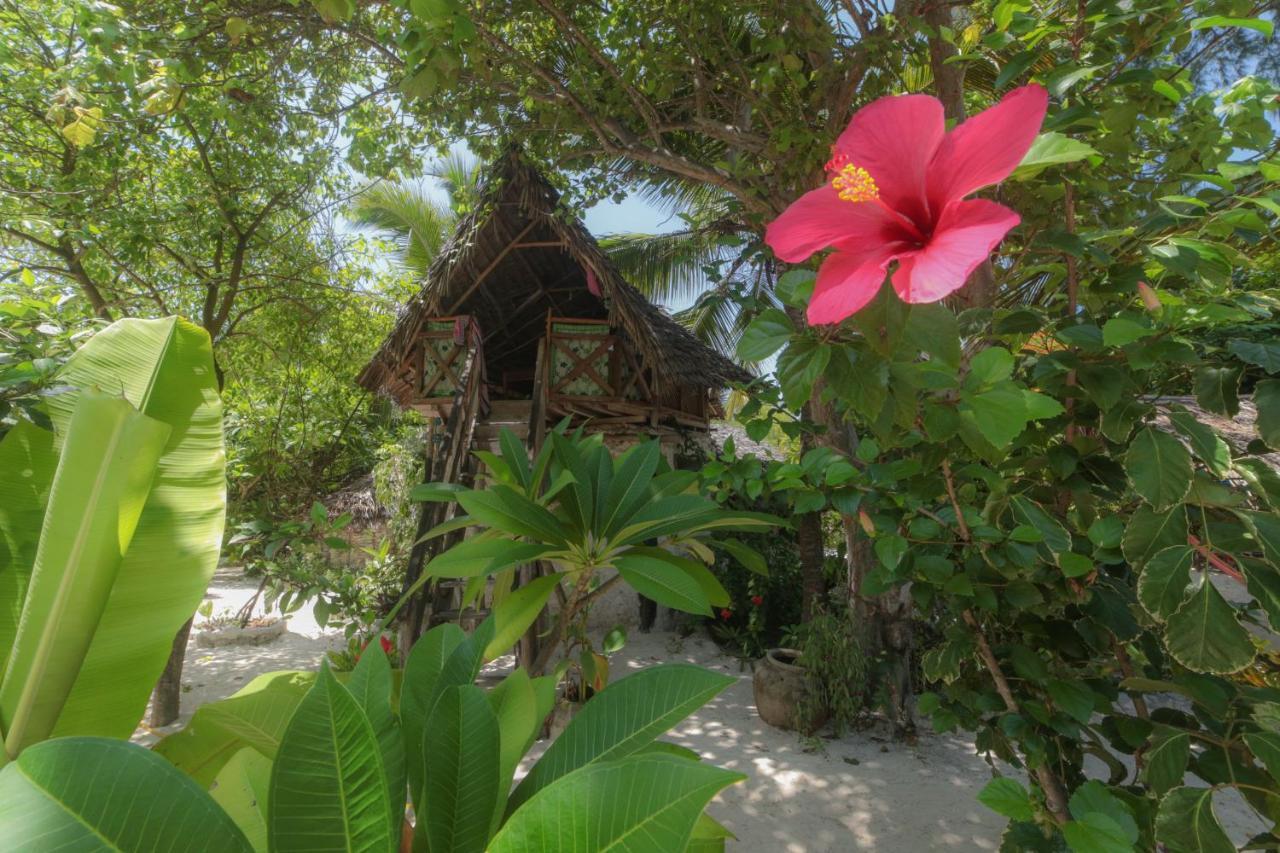Mustapha' S Place Bwejuu Ngoại thất bức ảnh